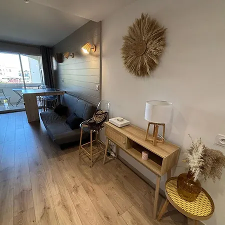Moderne Au Port, Clim Et Wifi - Fr-1-723-177 Appartement Agde